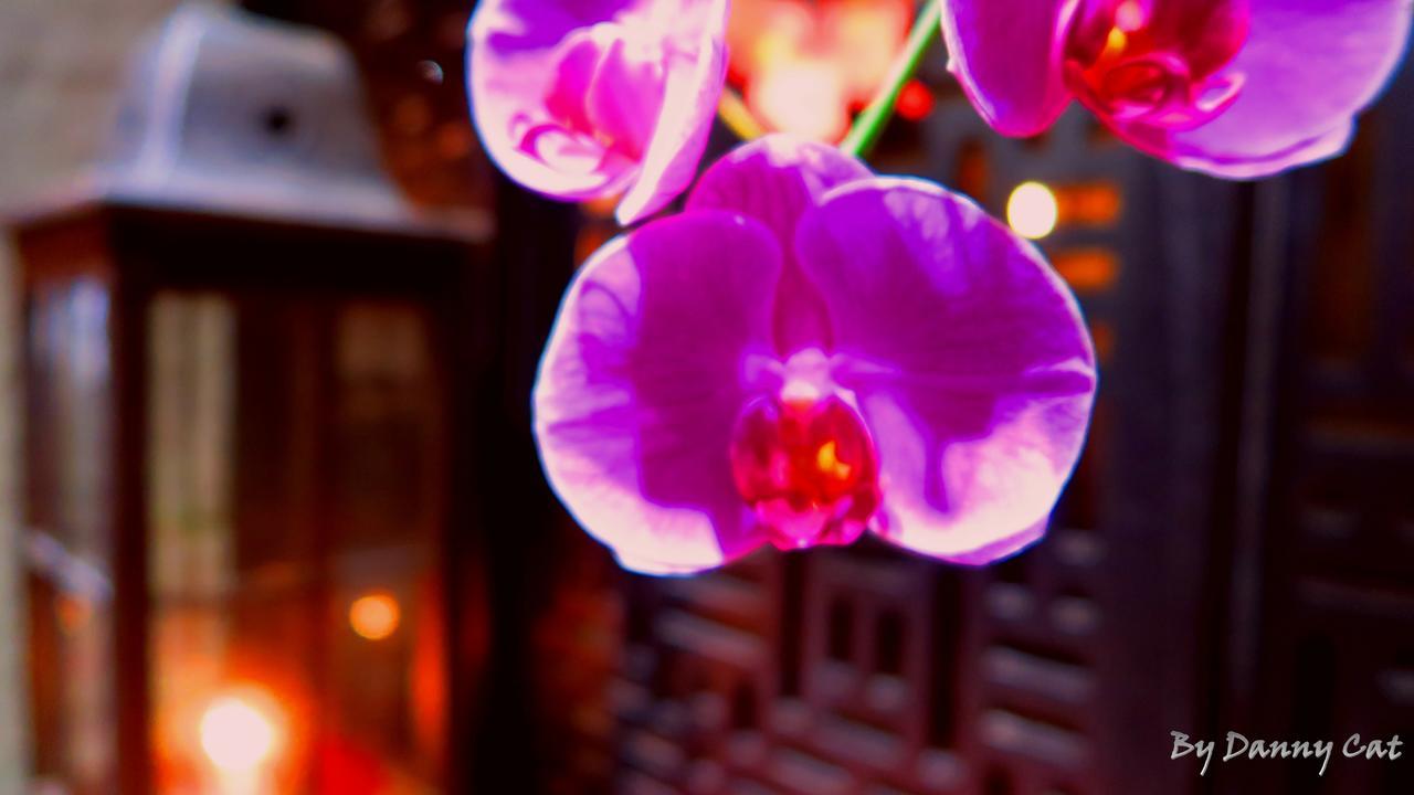 North Sea Hotel Taichung Exterior foto