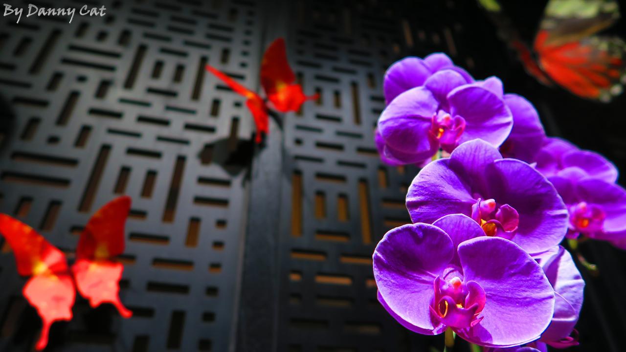 North Sea Hotel Taichung Exterior foto